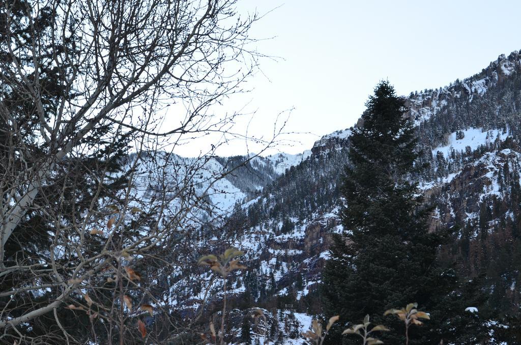 The Ouray Main Street Inn Zimmer foto